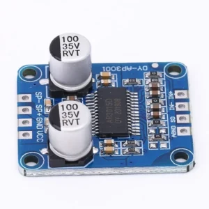 ماژول آمپلی فایر مونو DY-AP3001 با توان 30W